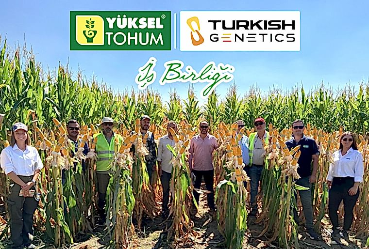Yüksel Tohum ve Turkish Genetics İş Birliği!